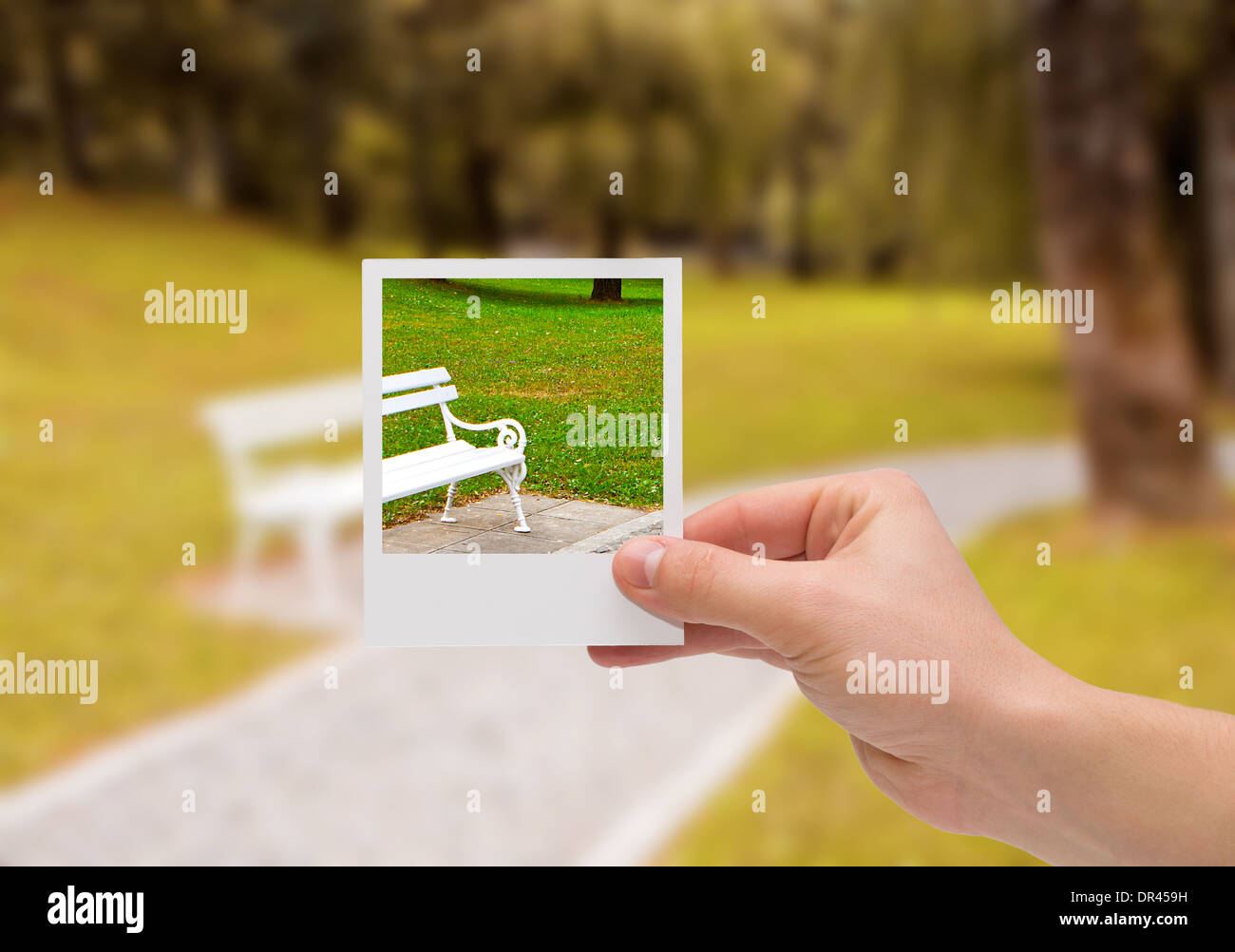 Ein Herbst Hintergrund festhalten Sofortbild. Stockfoto