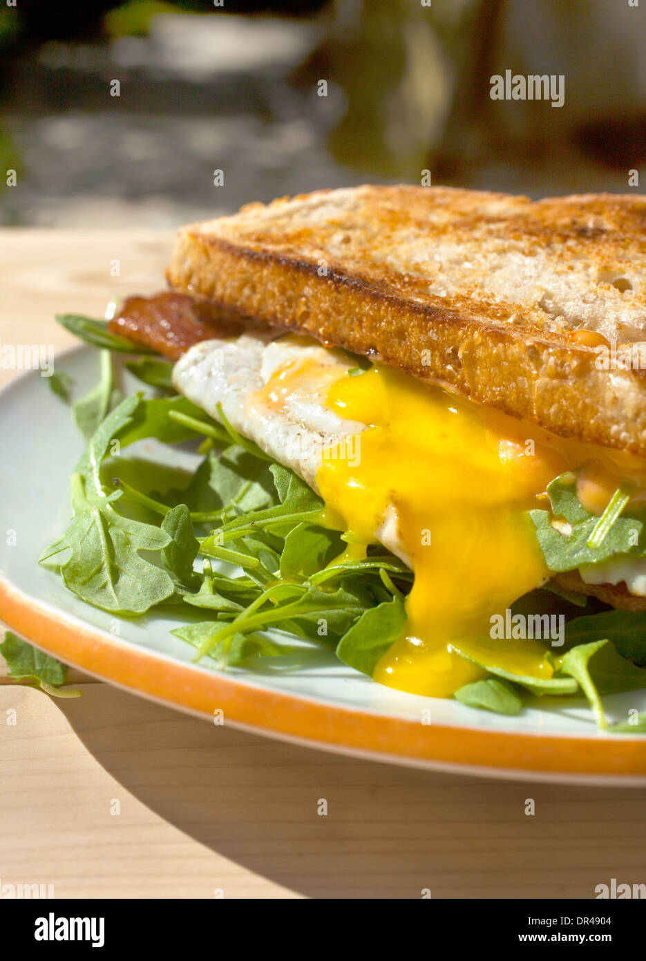 Flüssig-Ei-Frühstücks-sandwich Stockfoto
