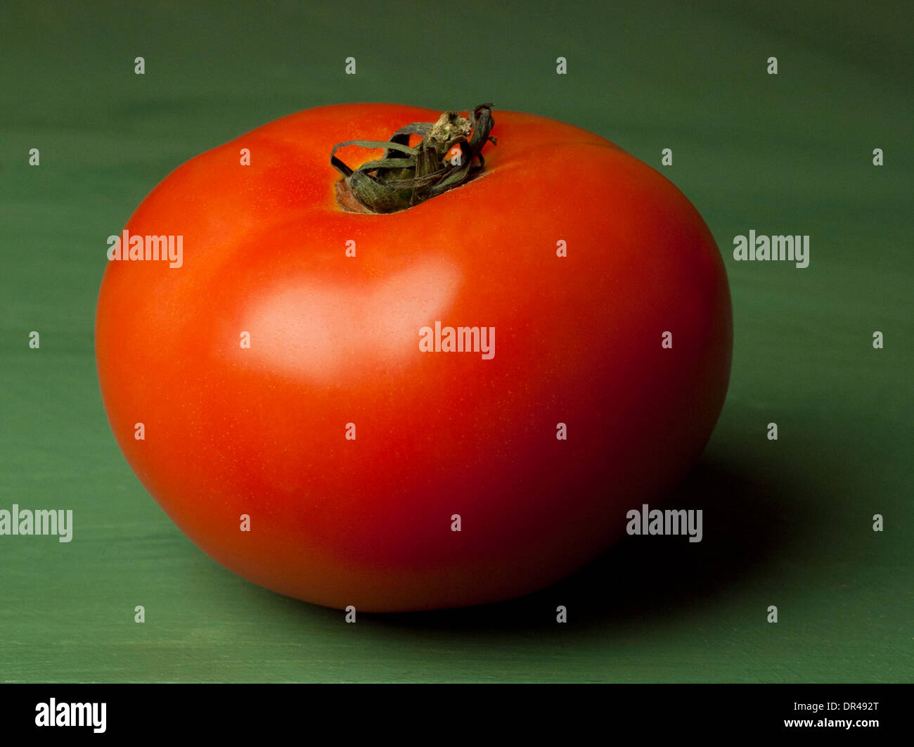 einzigen Tomate auf grün Stockfoto