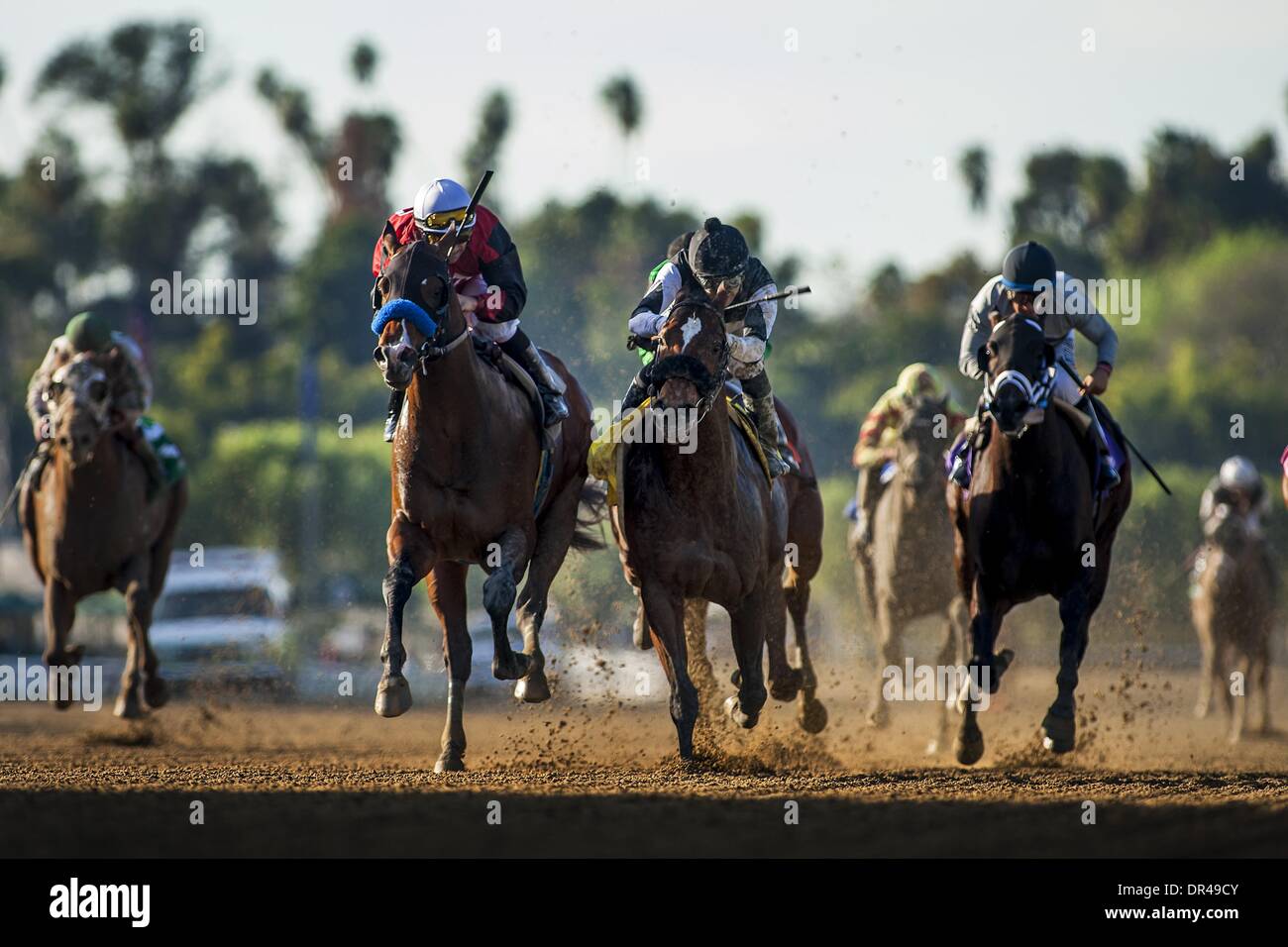 Arcadia, Kalifornien, USA. 19. Januar 2014. Roger Rocket mit Corey Nakatani, bricht seine Jungfrau im Santa Anita Park in Arcadia, Kalifornien am 18. Januar 2014. Bildnachweis: Alex Evers/Eclipse Sportswire/Eclipse/ZUMAPRESS.com/Alamy Live-Nachrichten Stockfoto