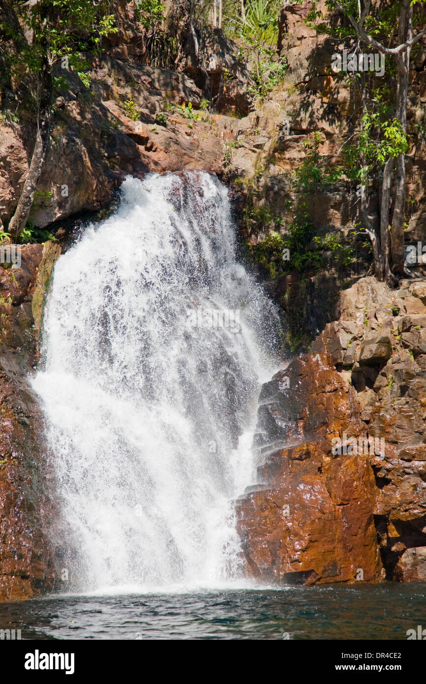 Florenz fällt und Tauchbecken im Litchfield Nationalpark, northern Territory, Australien Stockfoto