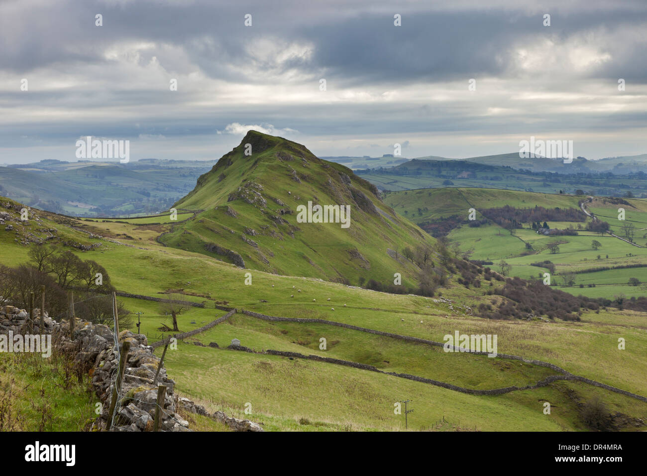 Ein bedeckter Tag im Parkhaus Hügel in der Nähe von Earl Sterndale im Peak District in Derbyshire, England, UK Stockfoto