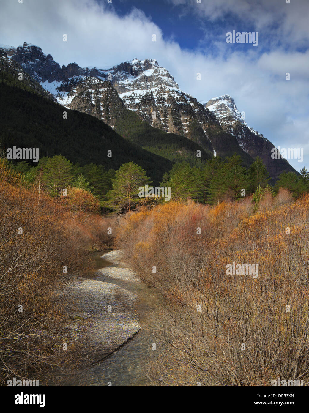 Schneebedeckte Berge in das Valle de Pineta in der Nähe von Bielsa in der Region Aragón, Spanien Stockfoto
