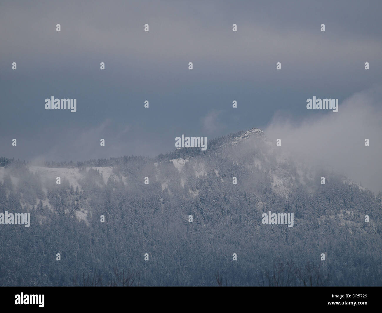 Osser Berg mit Schnee, Bayerischer Wald, Deutschland Stockfoto