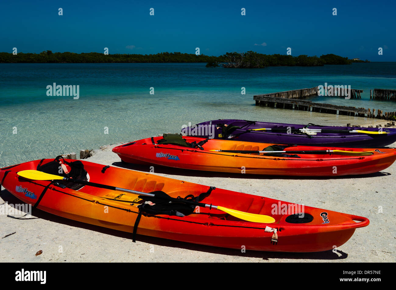 Line-up von Kanu am Strand von Belize Stockfoto