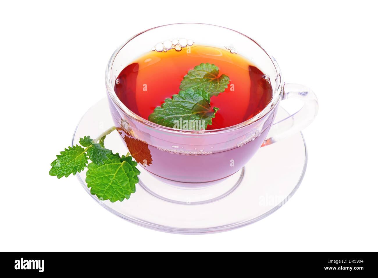 Minz-Tee mit Minze in eine Glasschale isoliert auf weißem Hintergrund Stockfoto