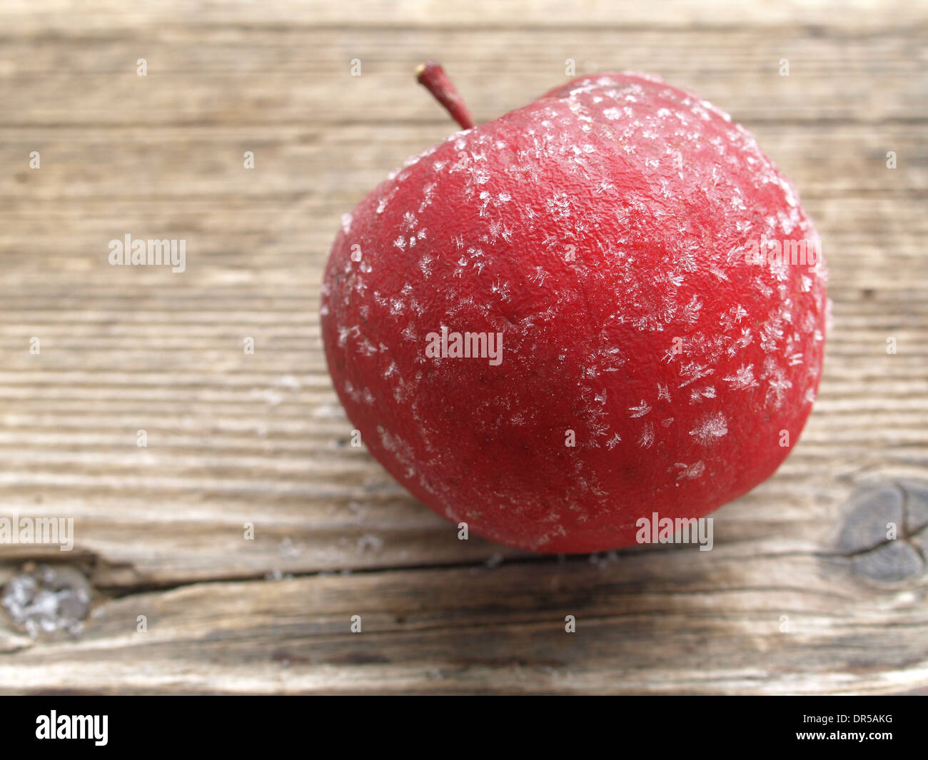 roten Apfel auf einem Brett Matt / Gefrorener Roter Apfel Auf Brett Stockfoto