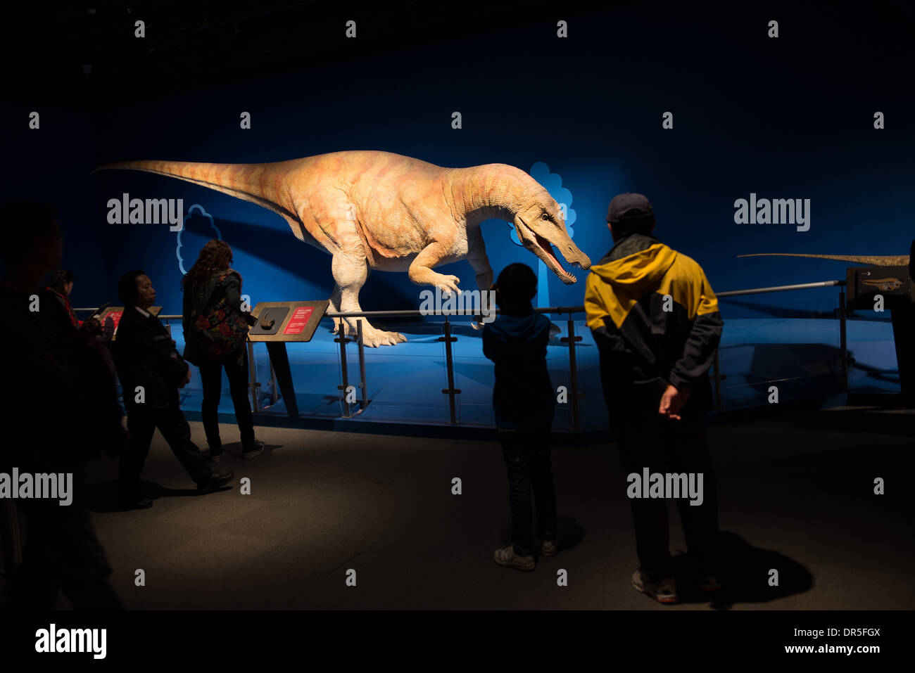 Die Dinosaurier-Ausstellung im Science Museum in Hong Kong. Leben Größe Animatronics ausgestorbener Dinosaurier und Fossilien auf dem Display. Stockfoto