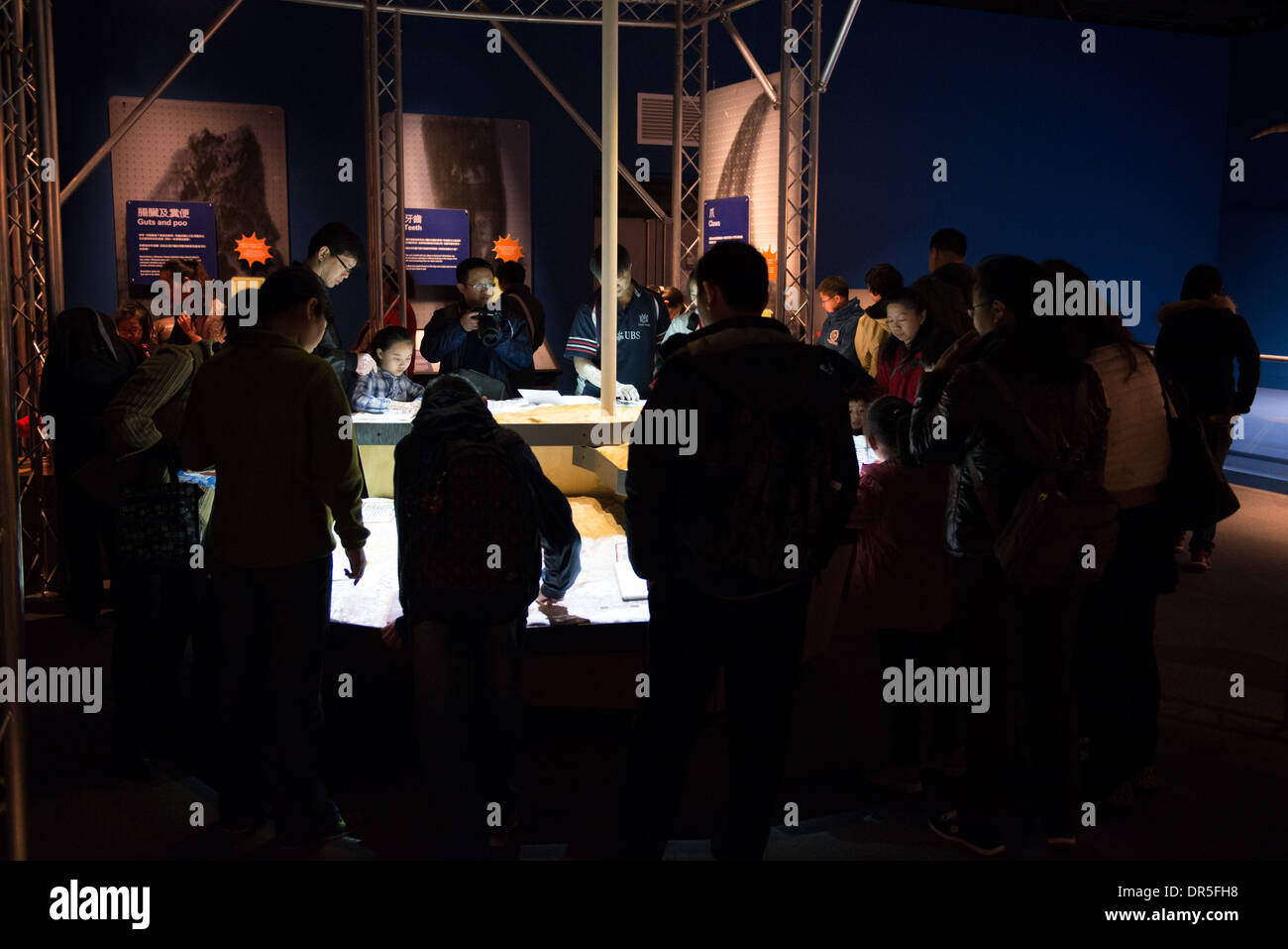 Die Dinosaurier-ausstellung im Science Museum in Hongkong. leben Größe animatronics der ausgestorbenen Dinosaurier und Fossilien auf dem Display. Stockfoto