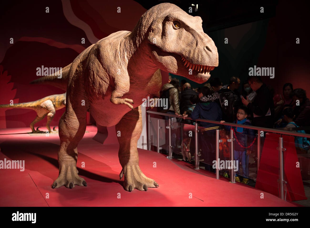 Modell Dinosaurier in Lebensgröße auf dem Bildschirm im Science Museum in Hongkong. Stockfoto