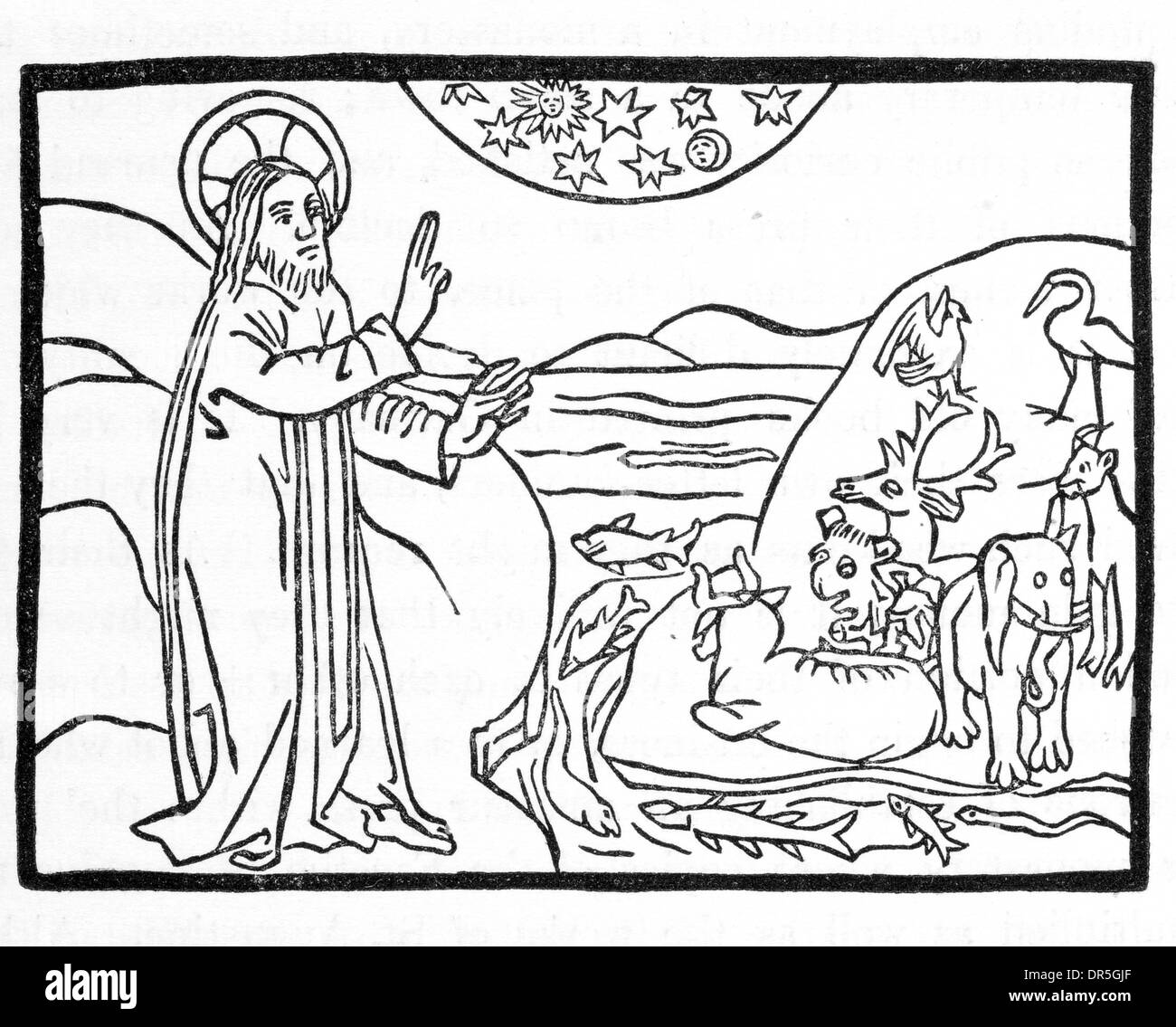 Die Schaffung von Tieren, von Meditationes Joannis de Turre-Cremata, gedruckt in Rom 1467 Stockfoto