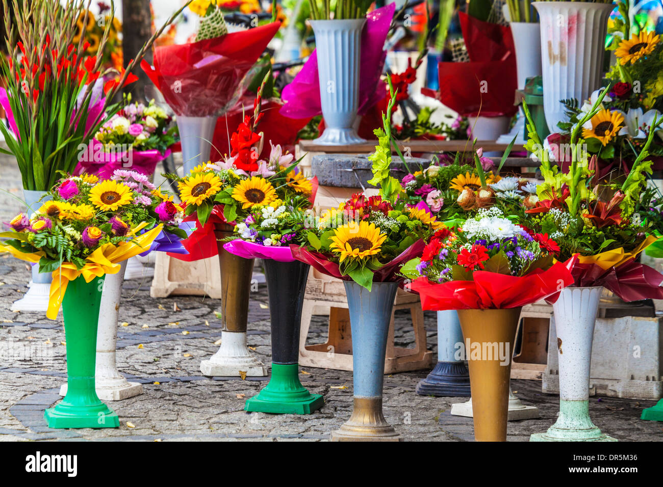 Trauben von Blumen auf dem Display auf dem Blumenmarkt in der Breslauer Platz Salzmarkt oder Plac Solny. Stockfoto