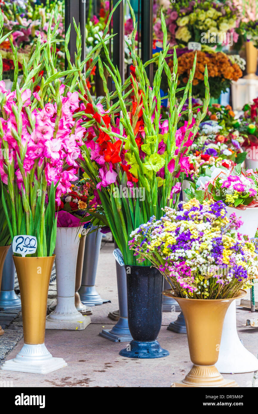 Trauben von Blumen auf dem Display auf dem Blumenmarkt in der Breslauer Platz Salzmarkt oder Plac Solny. Stockfoto