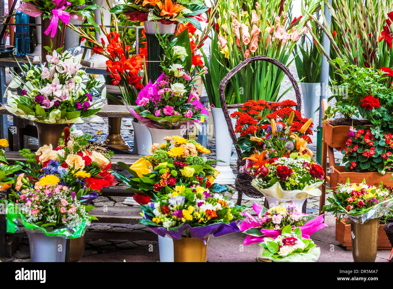 Trauben von Blumen auf dem Display auf dem Blumenmarkt in der Breslauer Platz Salzmarkt oder Plac Solny. Stockfoto