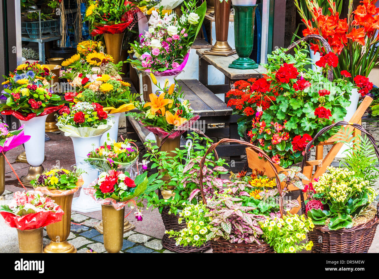 Trauben von Blumen auf dem Display auf dem Blumenmarkt in der Breslauer Platz Salzmarkt oder Plac Solny. Stockfoto