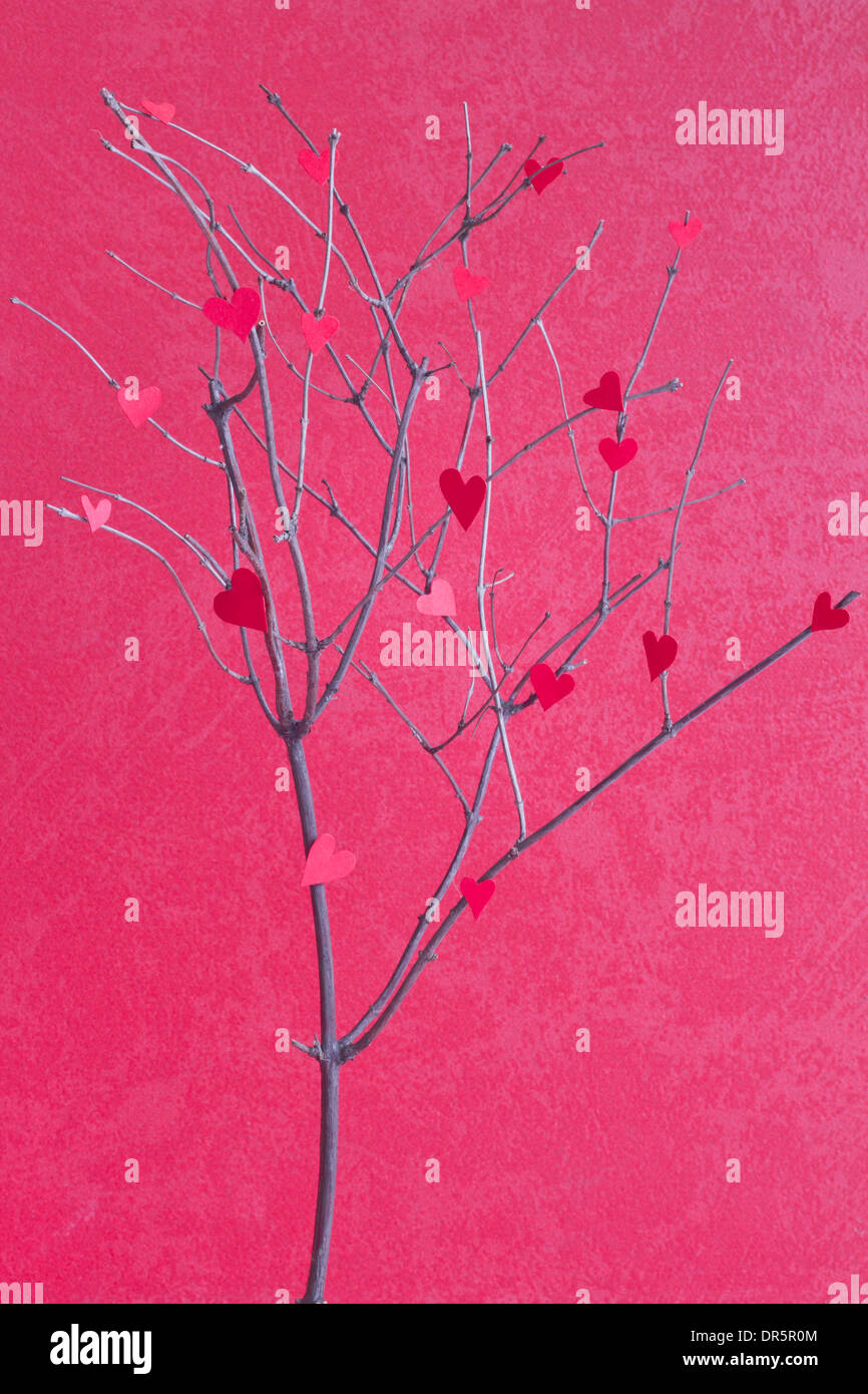 Papierherzen auf dem Baum abstrakte Zeichen der Liebe-Konzept Stockfoto