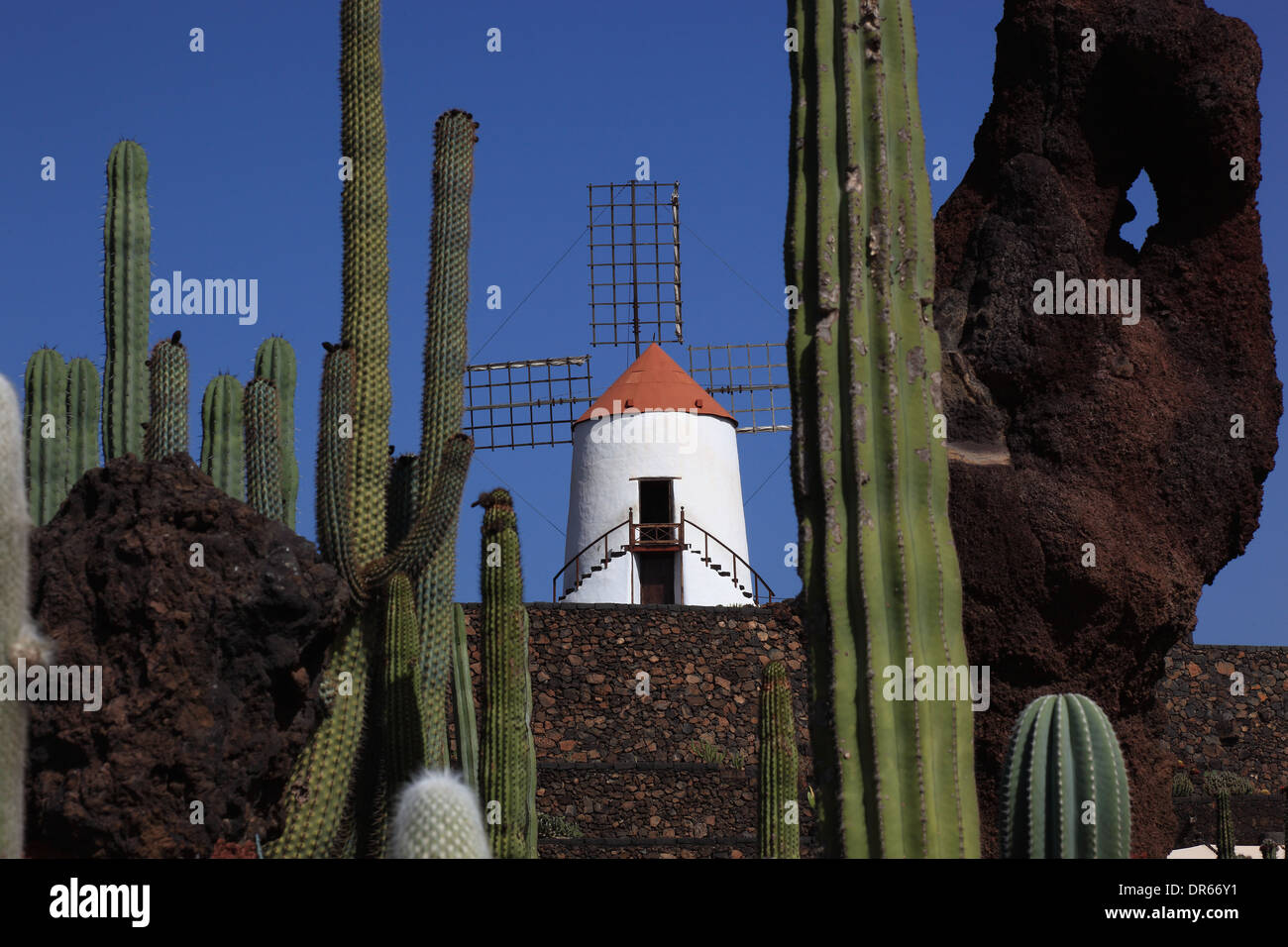 Gofio-Mühle, Kaktus Garten Jardín de Cactus in Guatiza, Lanzarote, Kanarische Inseln, Kanaren, Spanien Stockfoto