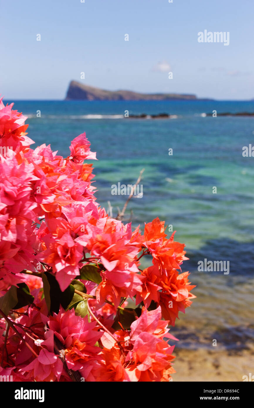 Coin de Mire Insel vor der Küste von Cap Malheureux gesehen, Mauritius. Stockfoto