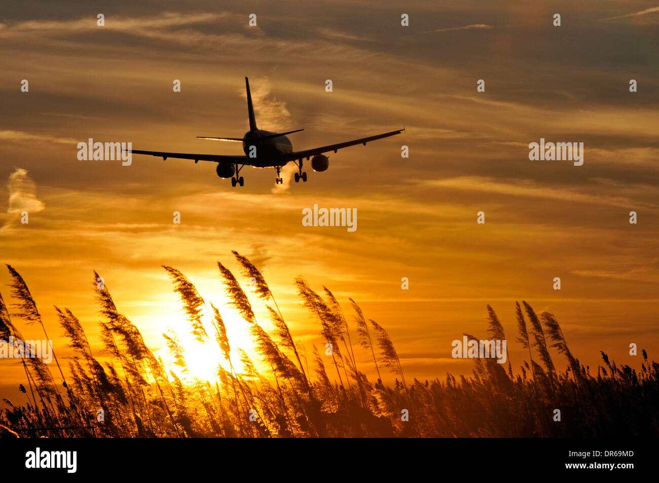 Flugzeug im Landeanflug in die untergehende Sonne am Philadelphia International Airport in Philadelphia, Pennsylvania. Stockfoto