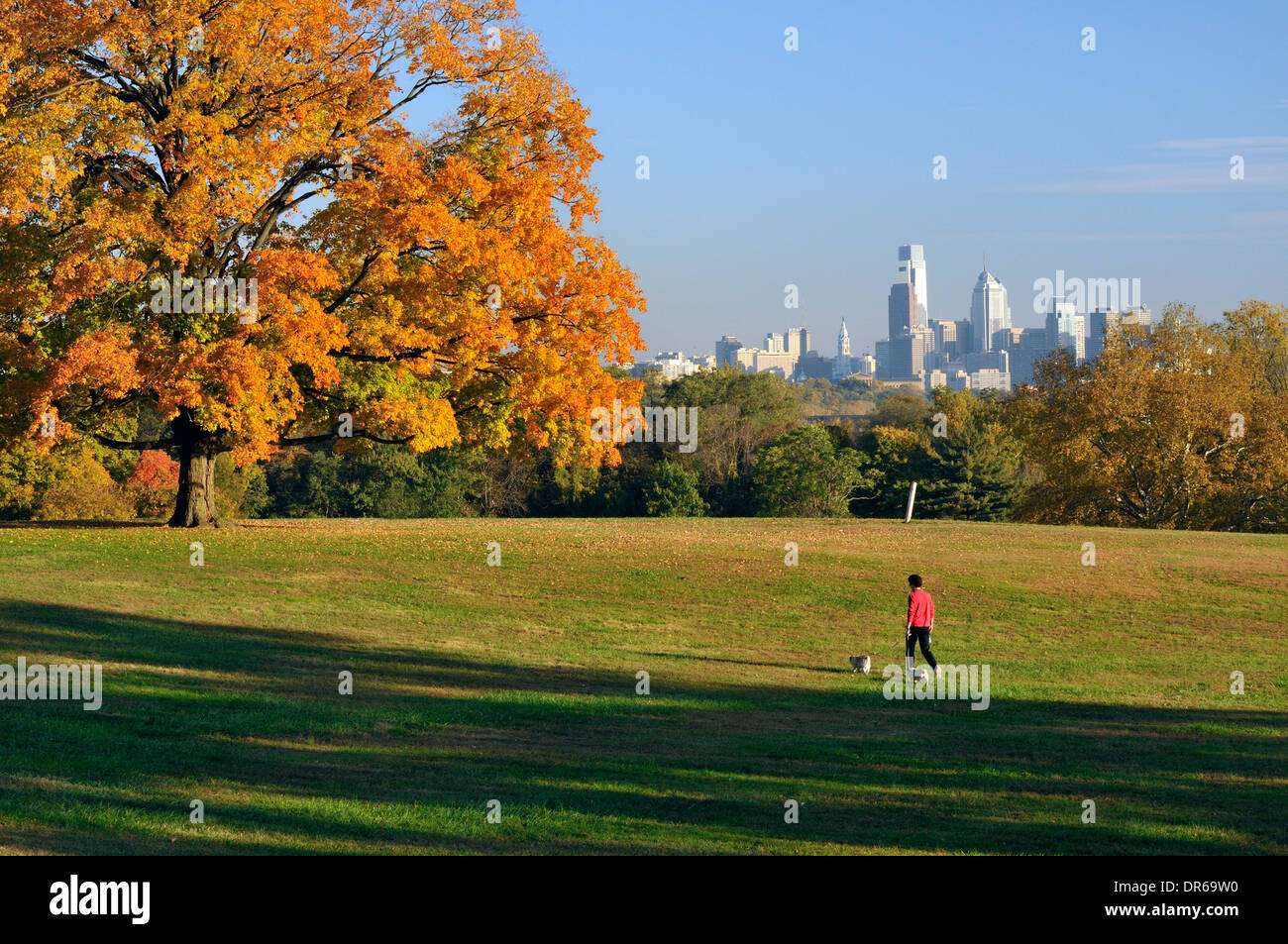 Frau, die ihre Hunde auf Belmont Hochebene in Fairmount Park, Philadelphia, Pennsylvania auf einer wunderschönen Herbstnachmittag. Stockfoto