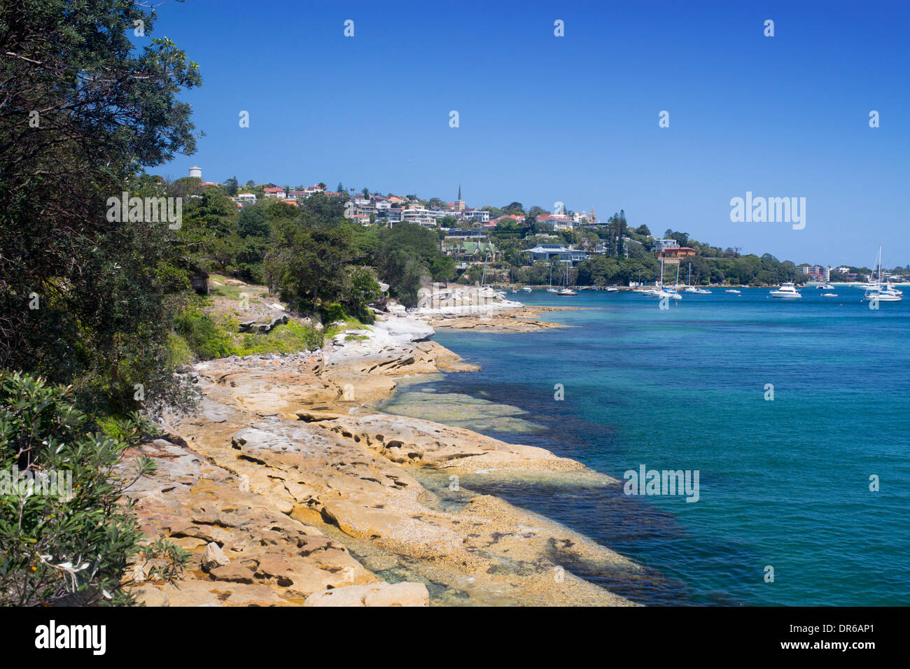 Küste auf Hermitage Vorland gehen Vaucluse östlichen Vororte Sydney New South Wales NSW Australia Stockfoto