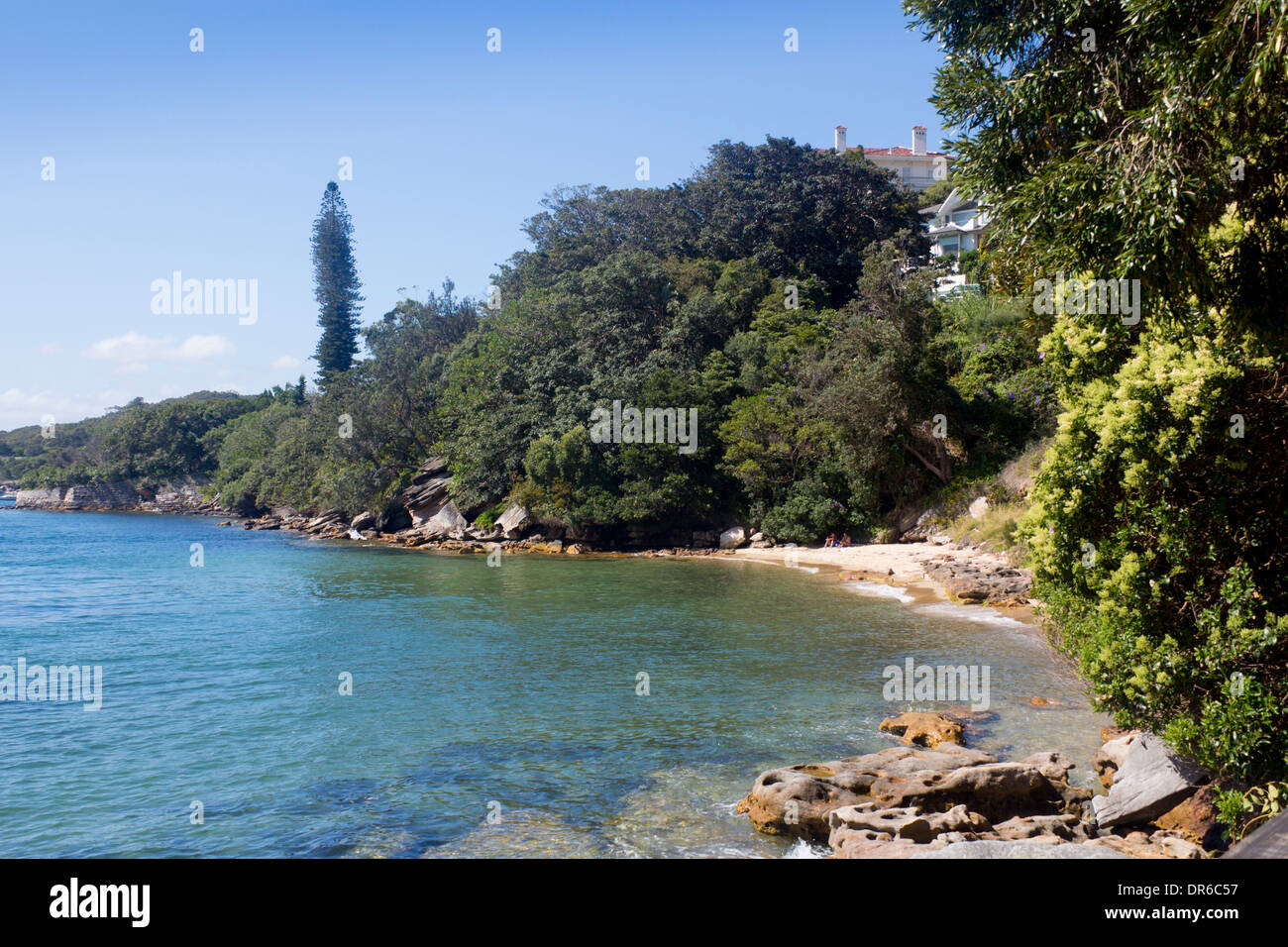 Queens Beach Hermitage Vorland gehen Vaucluse östlichen Vororten Sydney New South wales NSW Australia Stockfoto
