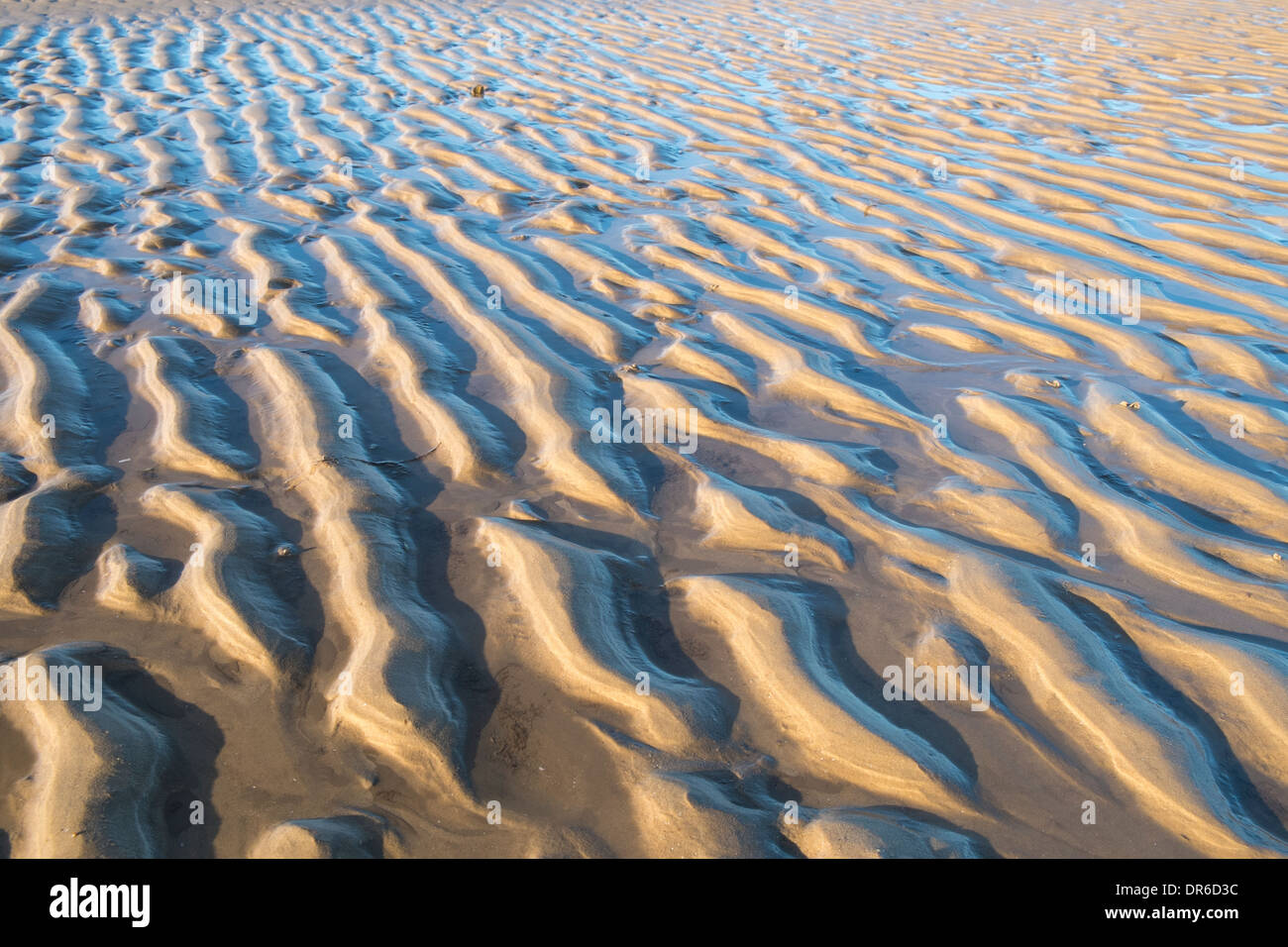 Wasser-Muster auf Gezeiten Sand Stockfoto