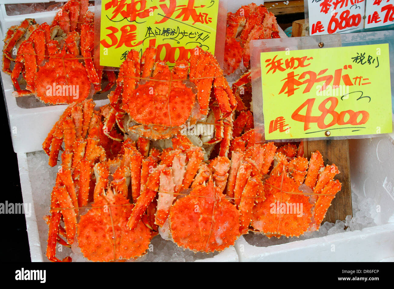 Konigskrabbe Stockfotos Und Bilder Kaufen Alamy