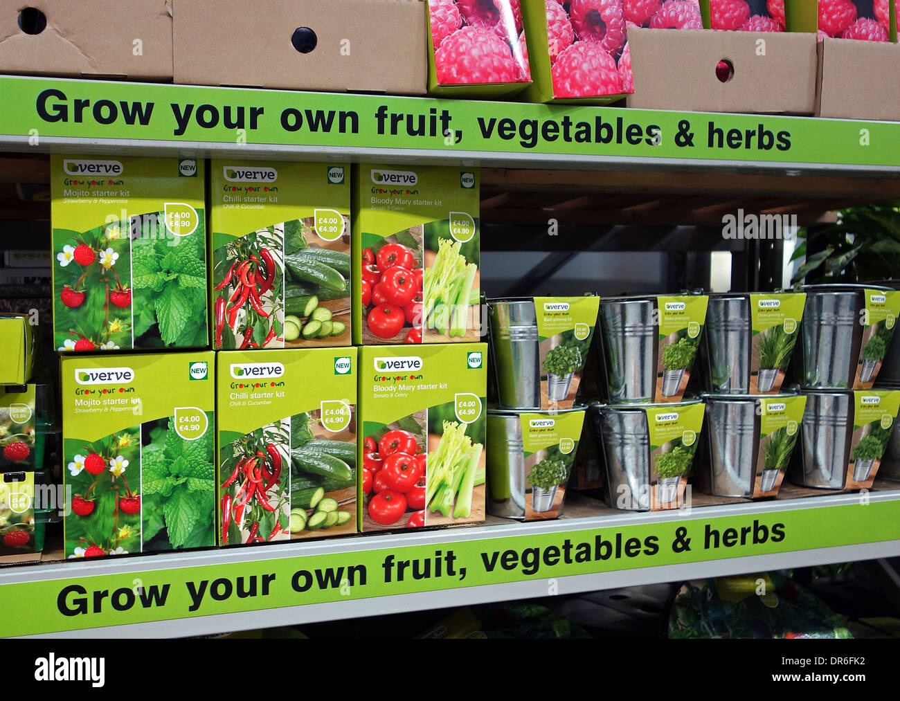 wachsen Sie Ihre eigenen Gemüse Packs in einem Gartencenter Stockfoto