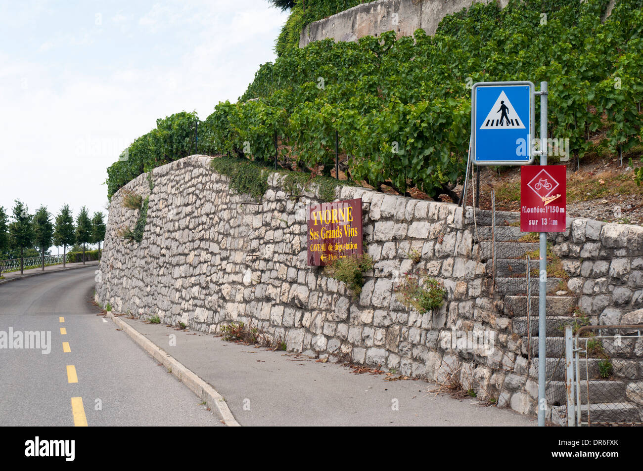 Schild des steilen Zyklus Aufstiegs zum Col-des-Mosses (als Teil der nationalen Radroute 4) in der Nähe von Aigle in der Schweiz Stockfoto