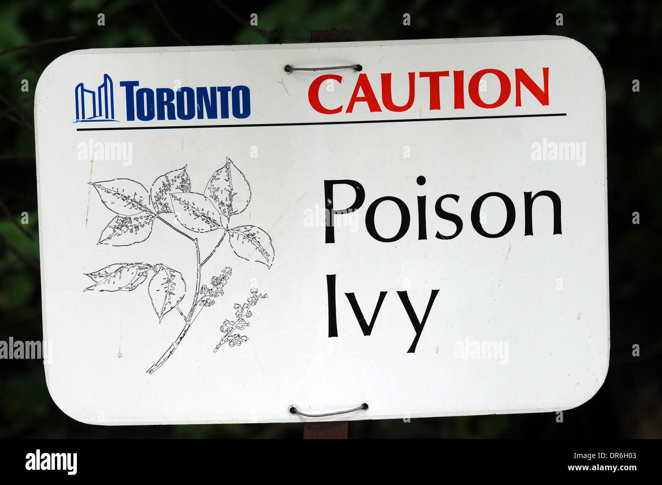 Poison Ivy Warnschild, Toronto, Kanada Stockfoto