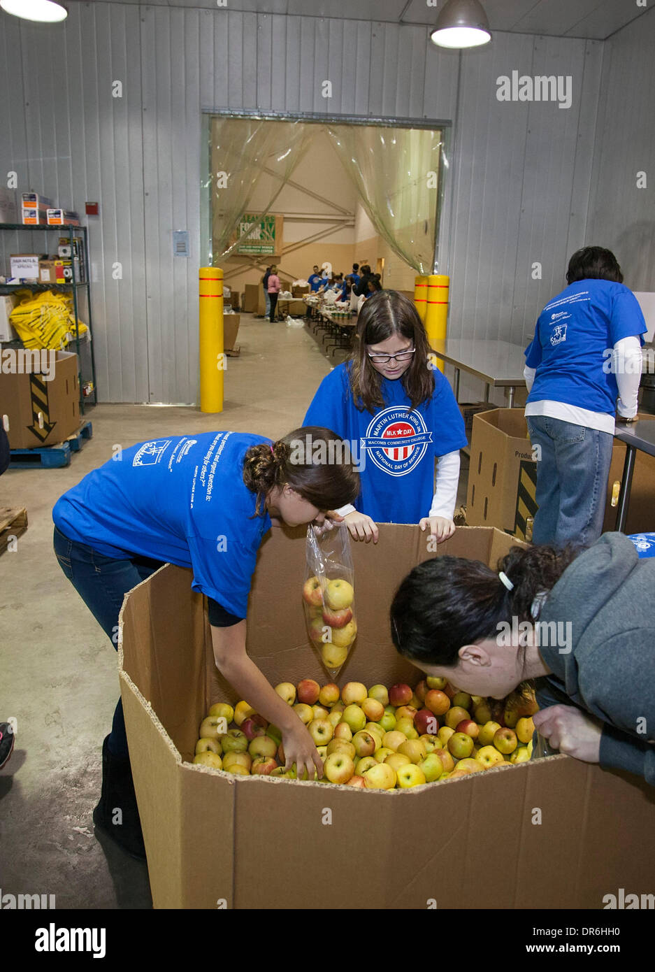 Warren, Michigan - Freiwilligen Paket Äpfel zur Verteilung an die Bedürftigen bei Gleaners Food Bank auf der Martin Luther King Jr. Urlaub. Bildnachweis: Jim West/Alamy Live-Nachrichten Stockfoto