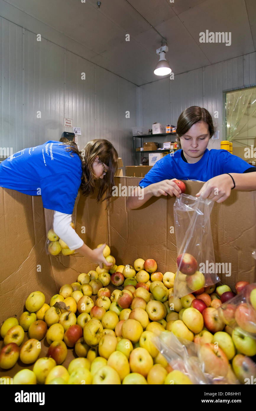 Warren, Michigan - Kinder Paket Äpfel zur Verteilung an die Bedürftigen bei Gleaners Food Bank auf der Martin Luther King Jr. Urlaub. Bildnachweis: Jim West/Alamy Live-Nachrichten Stockfoto
