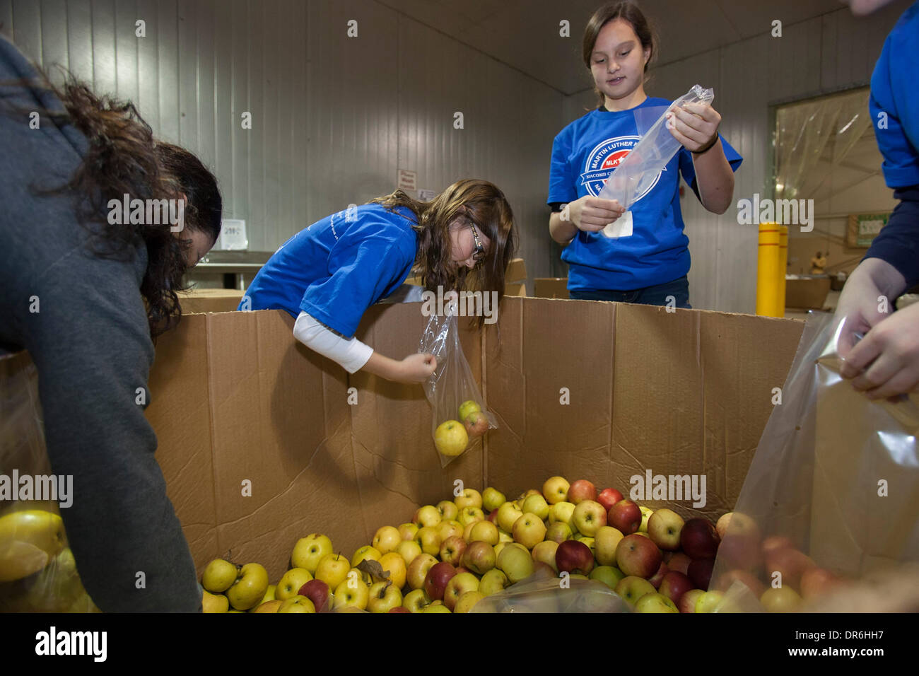 Warren, Michigan - Kinder Paket Äpfel zur Verteilung an die Bedürftigen bei Gleaners Food Bank auf der Martin Luther King Jr. Urlaub. Bildnachweis: Jim West/Alamy Live-Nachrichten Stockfoto