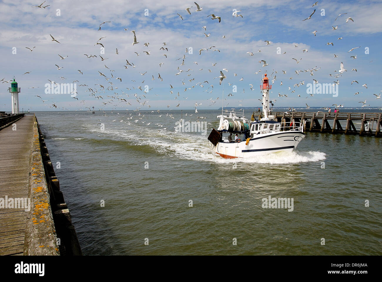 Vögel fliegen über Schiff Stockfoto