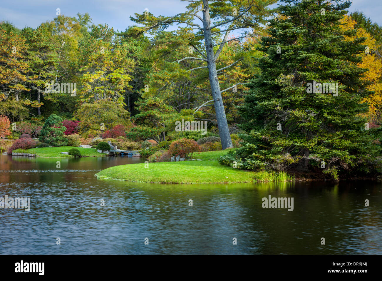 Herbst im Asticou Azalea Garden, Mount Desert Island, Maine, USA Stockfoto