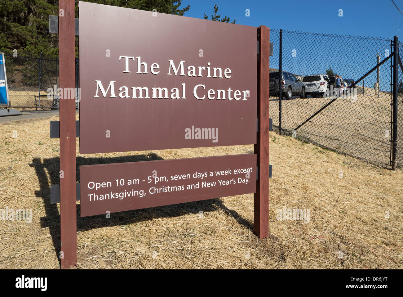 Kalifornien Marine Mammal Center, Marin Headlands, Sausalito, CA. Stockfoto
