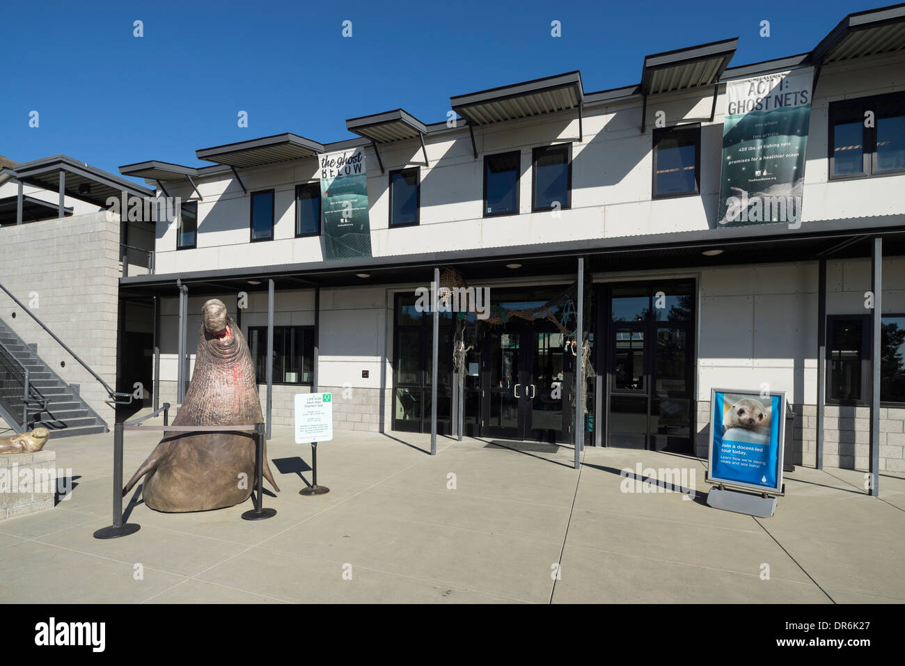 Kalifornien Marine Mammal Center, Marin Headlands, Sausalito, CA. Stockfoto
