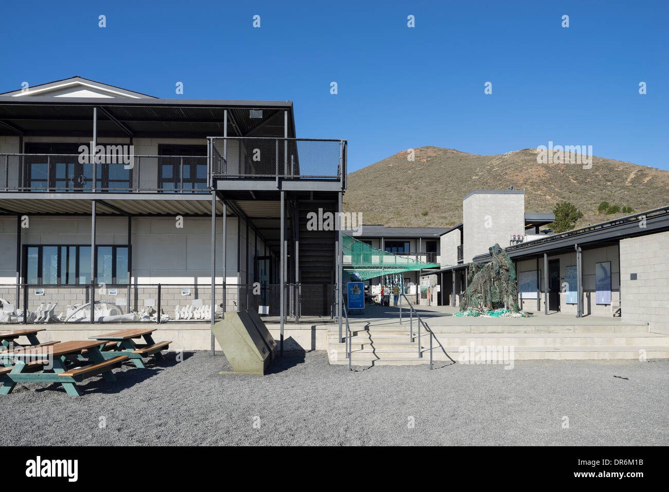 Kalifornien Marine Mammal Center, Marin Headlands, Sausalito, CA. Stockfoto