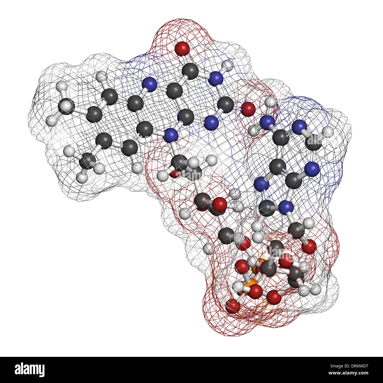 Flavin-Adenin-Dinucleotide (FAD) Redox Coenzym Molekül. Atome werden als Kugeln mit konventionellen Farbkodierung dargestellt. Stockfoto