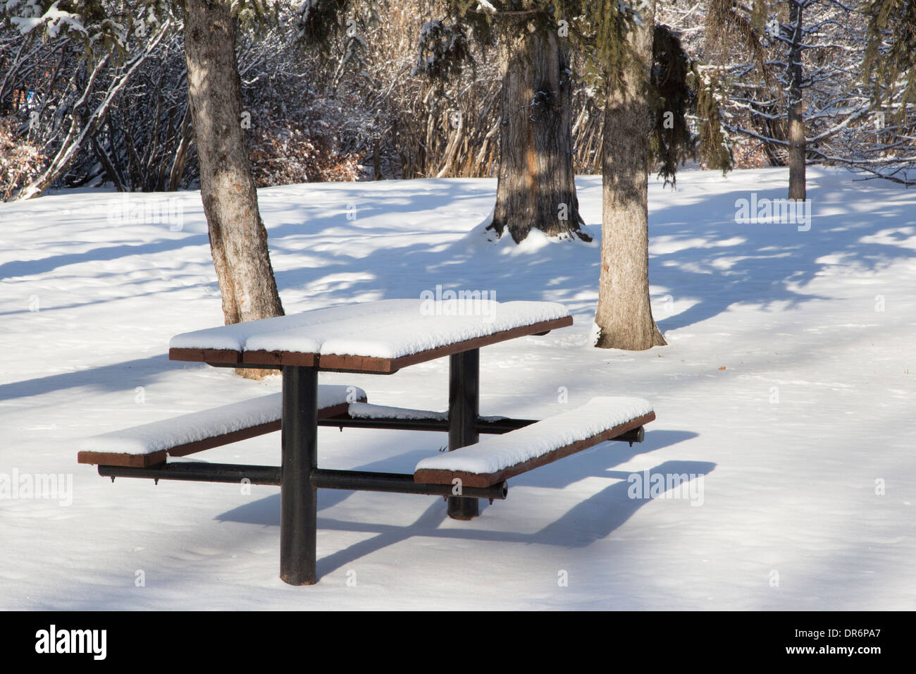 Picknick-Tisch mit Schnee bedeckt. Stockfoto