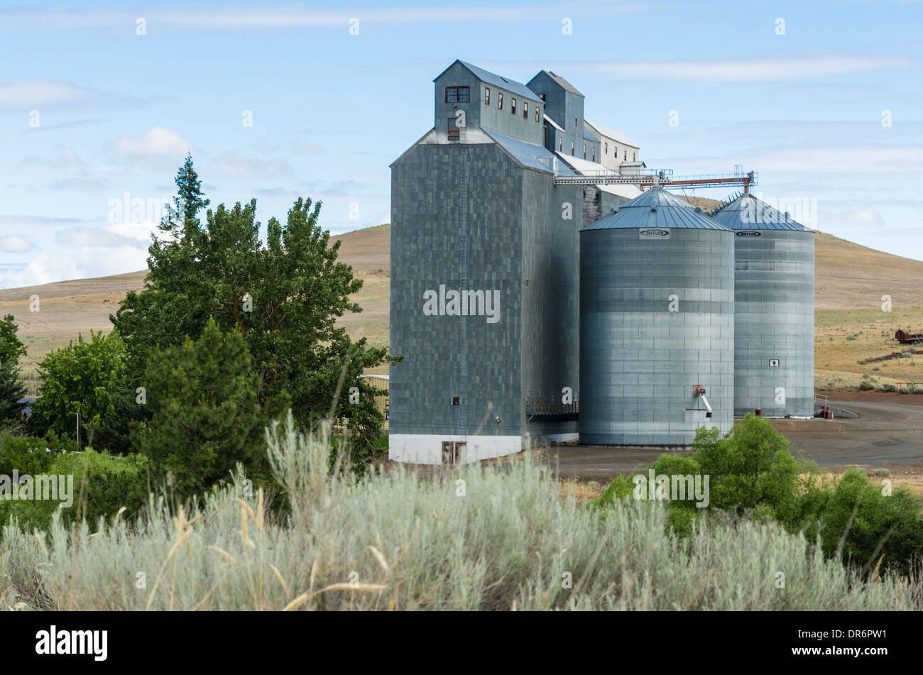 Lagerung von Getreidesilos und Korn Mühlengebäude. Dufur, Oregon, USA Stockfoto