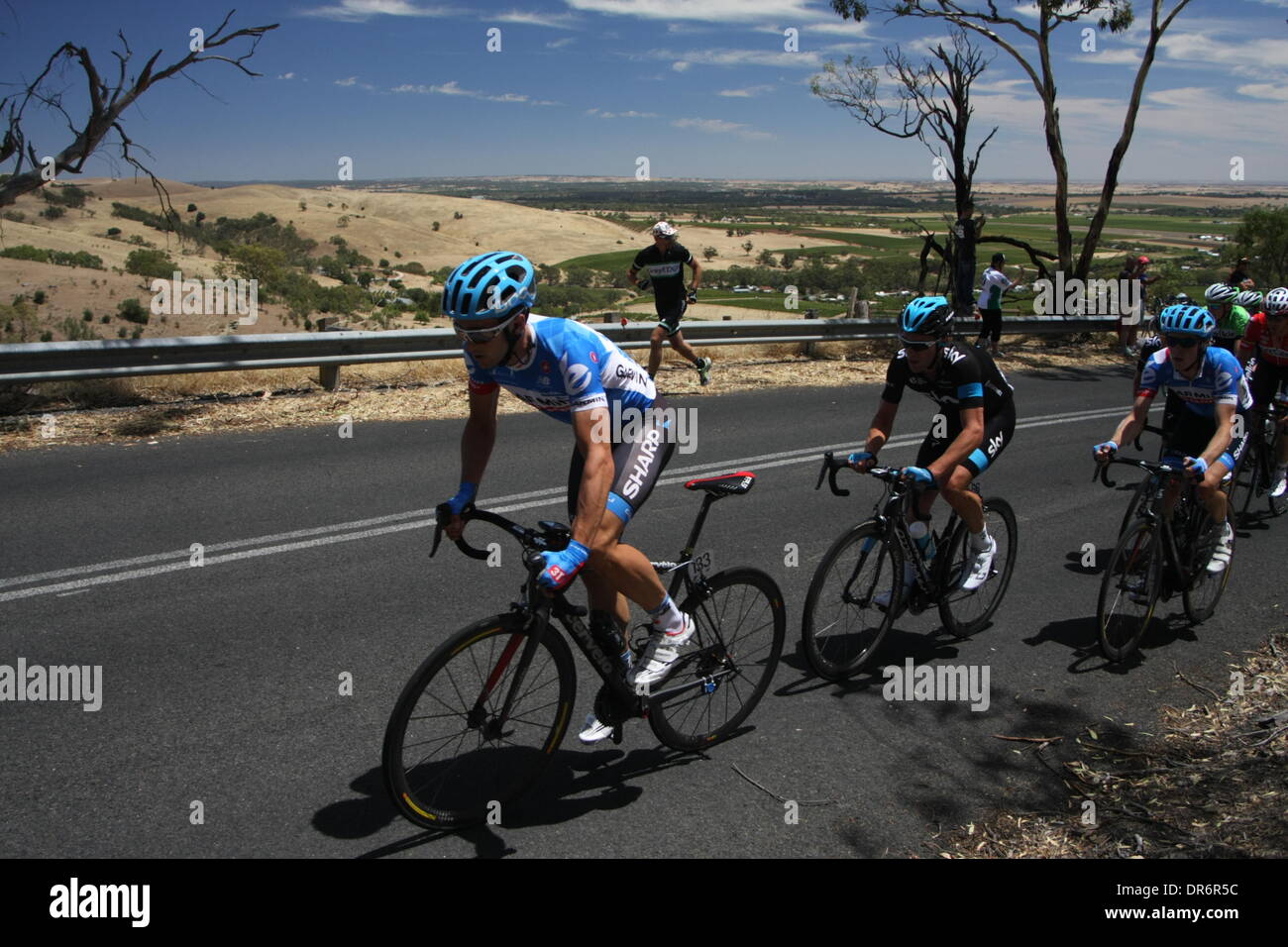 Barossa Valley, Australien. 21. Januar 2014. Nathan Haas (Garmin Sharp) führt die Besteigung des Mengler Hill in Phase 1 der Santos Tour Down Under 2014 vom Nurioopta zum Angaston, South Australia am 21. Januar 2014 Credit: Peter Mundy/Alamy Live News Stockfoto