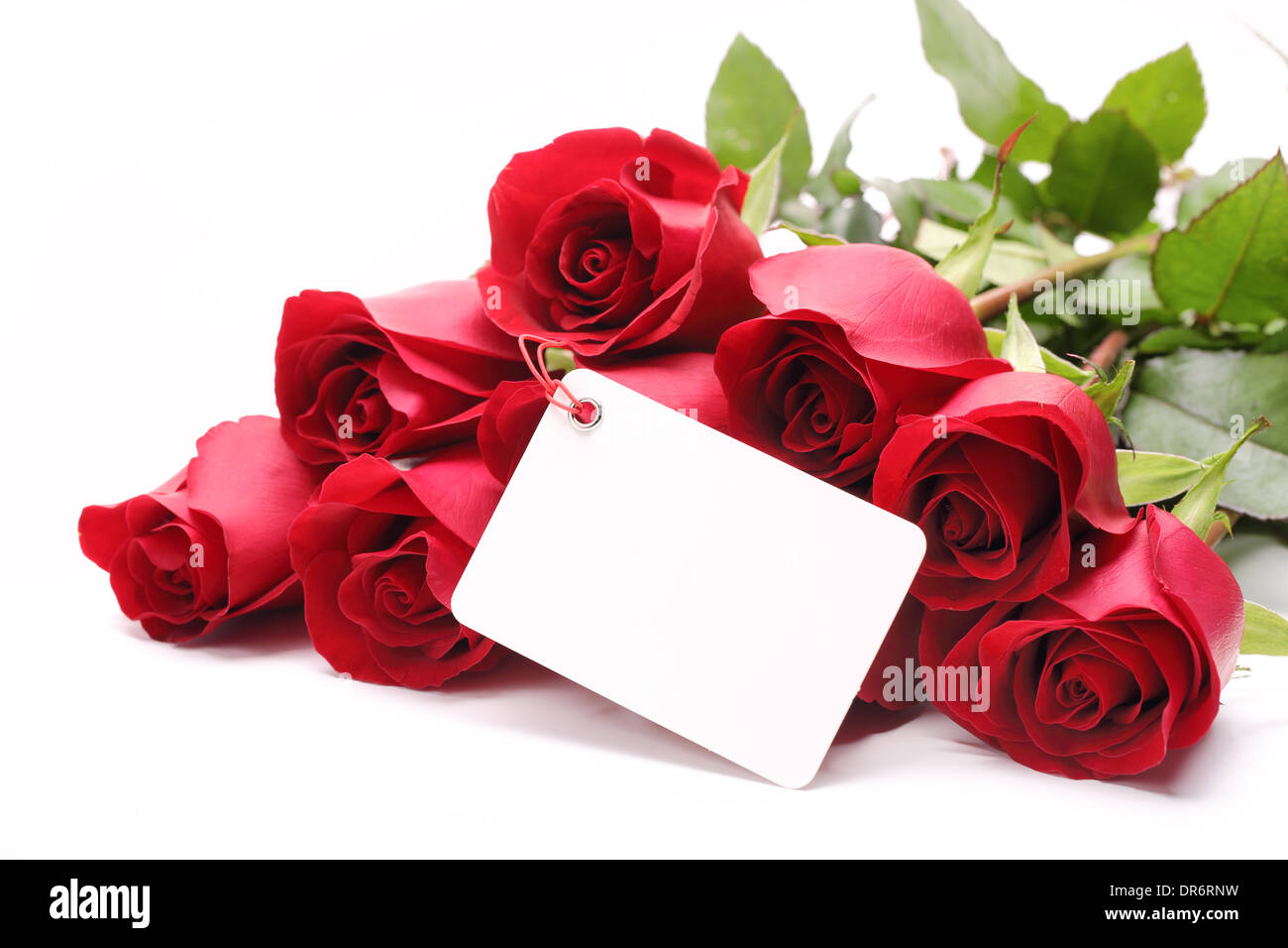 Karte und Rosen auf weißem Hintergrund Stockfoto