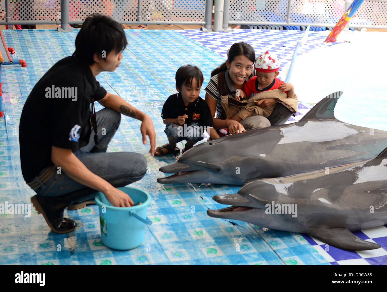 Zuschauer nehmen Sie Bilder mit den Delphinen in einem Wanderzirkus Delphin. Stockfoto