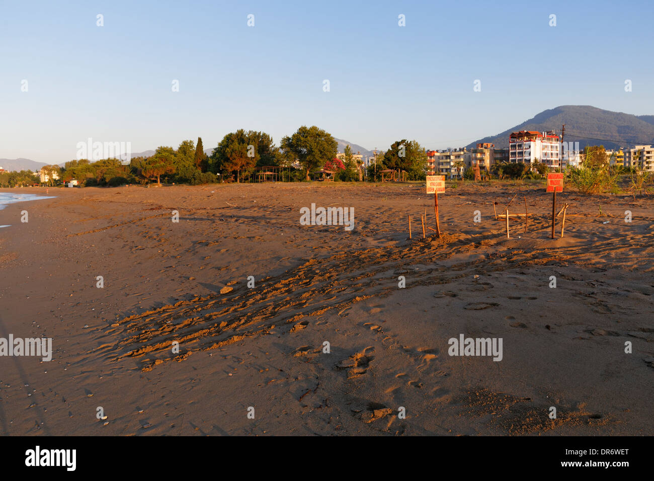 Türkei, Anamur, Anzeichen für Kupplungen und Spuren von der Unechten Karettschildkröte (Caretta Caretta) am Strand Stockfoto