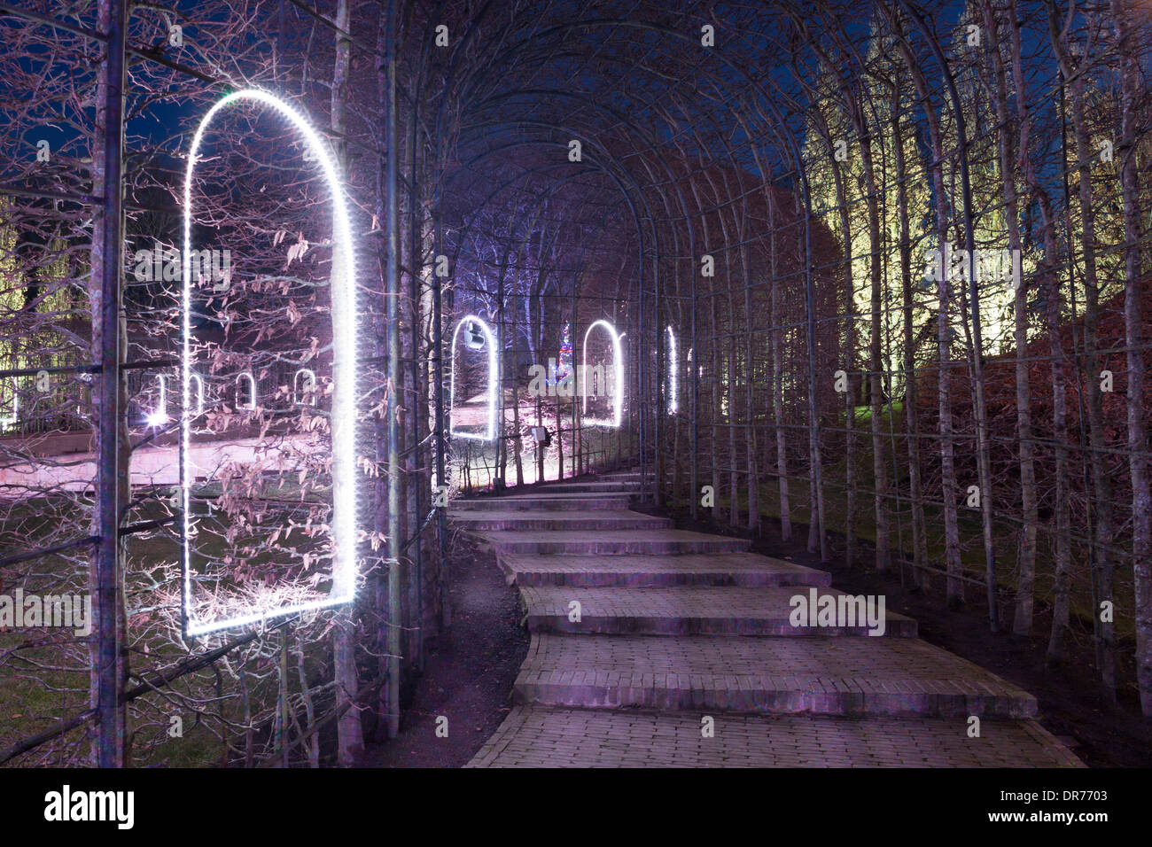 Winter-Beleuchtung in Alnwick Gardens, Northumberland Stockfoto