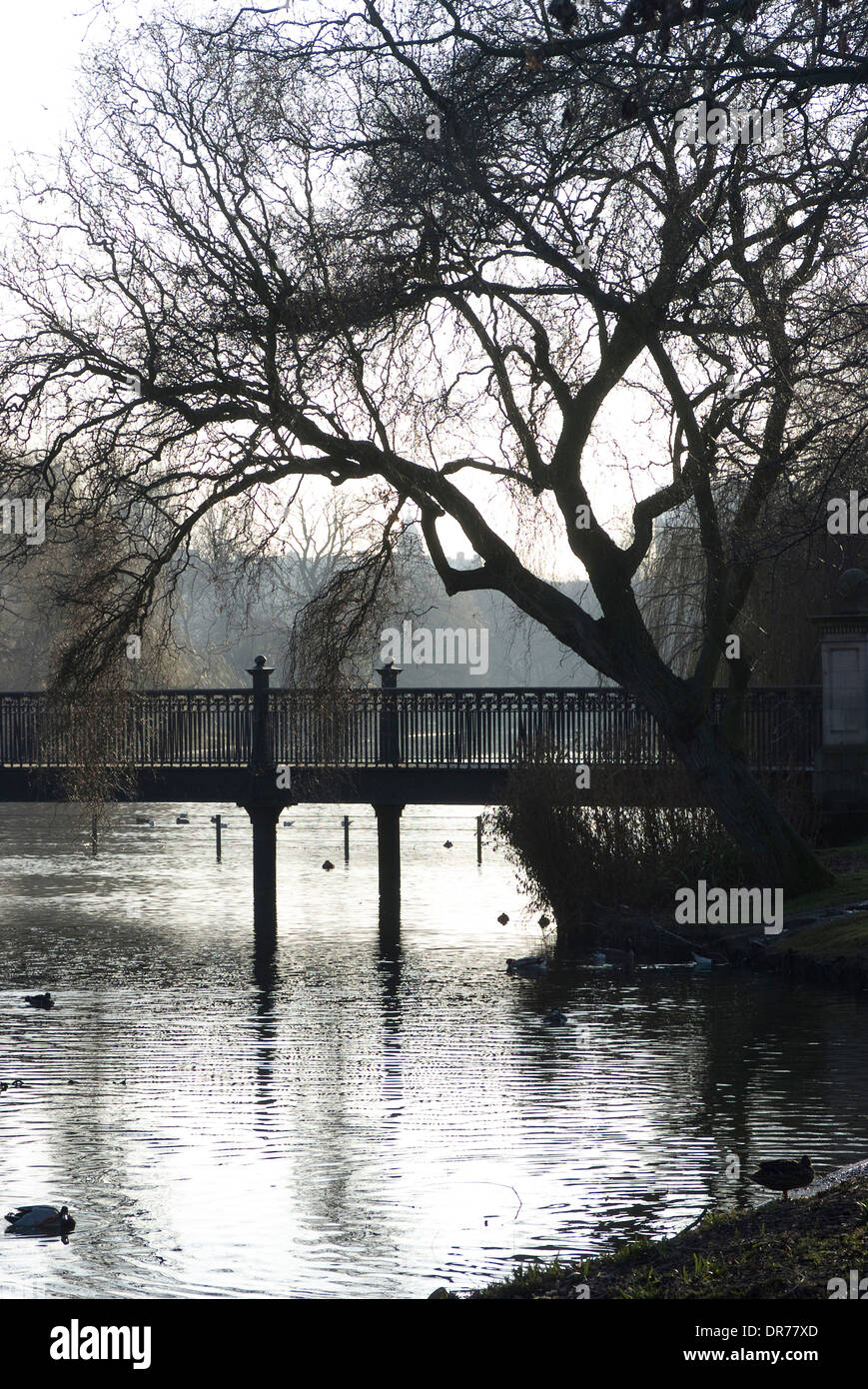 Silhouette Blick auf die Brücke über den See auf der Bird Sanctuary, Regents Park, Camden, London, NW1, England Stockfoto