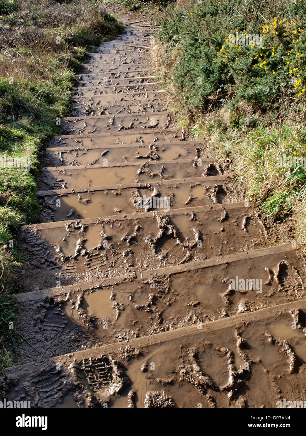 Blickte auf schlammigen Schritte auf die Südwestküste-Weg, Wanson Mund, Widemouth Bay, Cornwall, UK Stockfoto