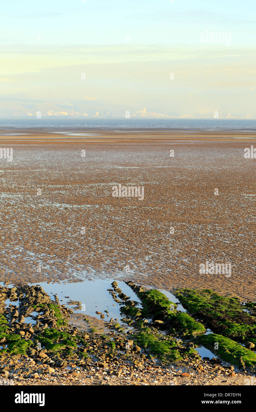 Ein Blick über das Wattenmeer von Swansea bay Stockfoto